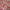 Valentine's Day Sprinkles for Decoration 01 | 120 Gm