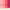 Multipack of Blush Pink, Peach, Neon Pink and Fuchsia Pink Sugarpaste 21