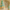 Multipack of Mint green, Baby Blue, Lavender and Peach Sugarpaste 09