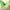 Mint Green | Pack of 56 Edible Wafer Paper Butterflies