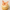 Peach | Pack of 56 Edible Wafer Paper Butterflies